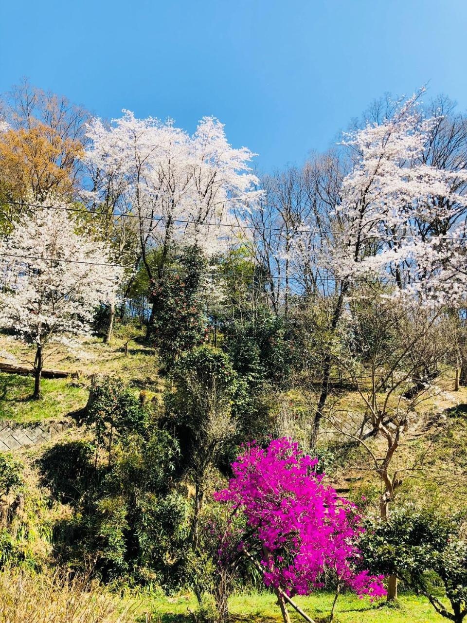 Ryutakuzenji 宿坊 高崎 外观 照片