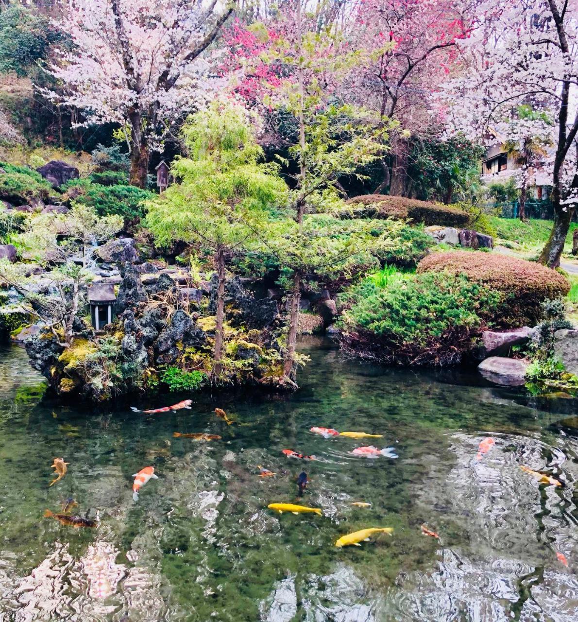Ryutakuzenji 宿坊 高崎 外观 照片